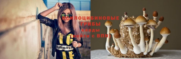 стафф Зерноград