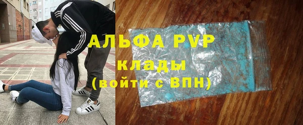 стафф Зерноград