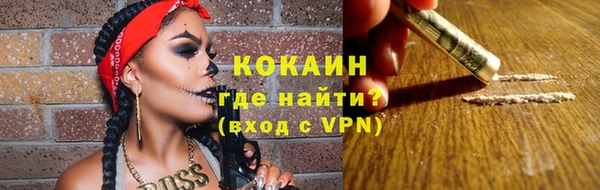 стафф Зерноград